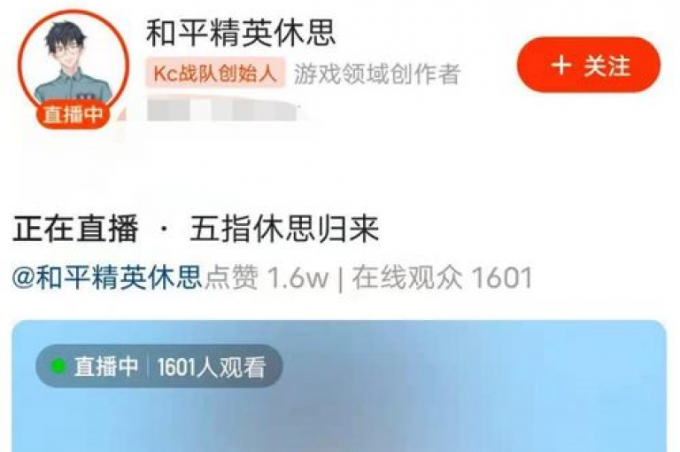 KS平台指的是快手，它是一个广受欢迎的短视频分享和直播平台。
