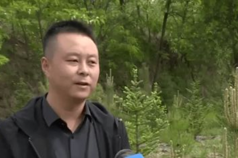 抖音购买1000粉丝240元，这个价格是否合理？新手必看！