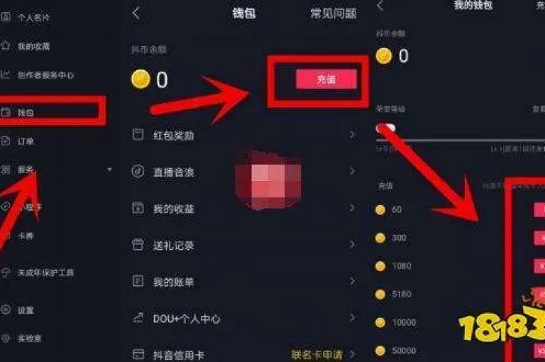 抖音虚拟货币的官方充值平台（即抖币官方网站充值路径）。