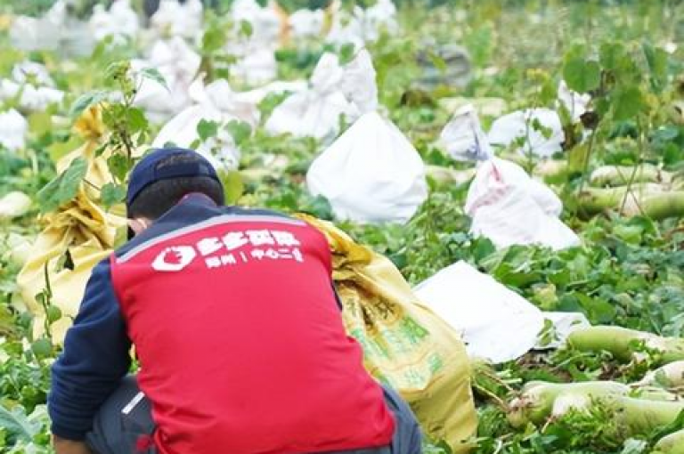 探索拼多多助力活动，究竟需要多少好友才能成功？