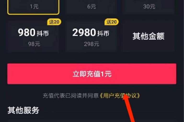 抖音虚拟货币的充值平台(快速为抖币账户注入资金)。