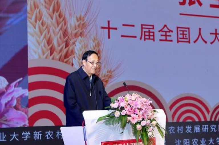 拼多多助力活动究竟是否真的能让用户成功获取商品？让我们深入剖析其内在运作机制与实际真相。