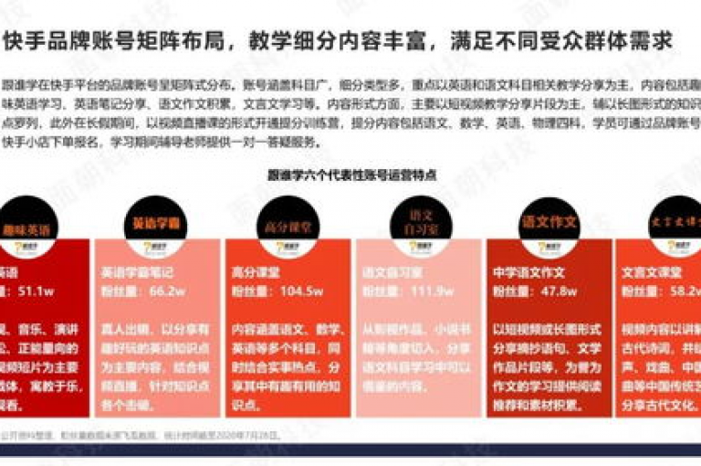 抖音点赞自助服务平台，助力你的视频迅速走红网络。