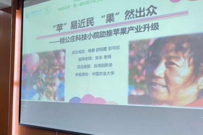 微信上拼多多助力活动的真实性有待考证。
