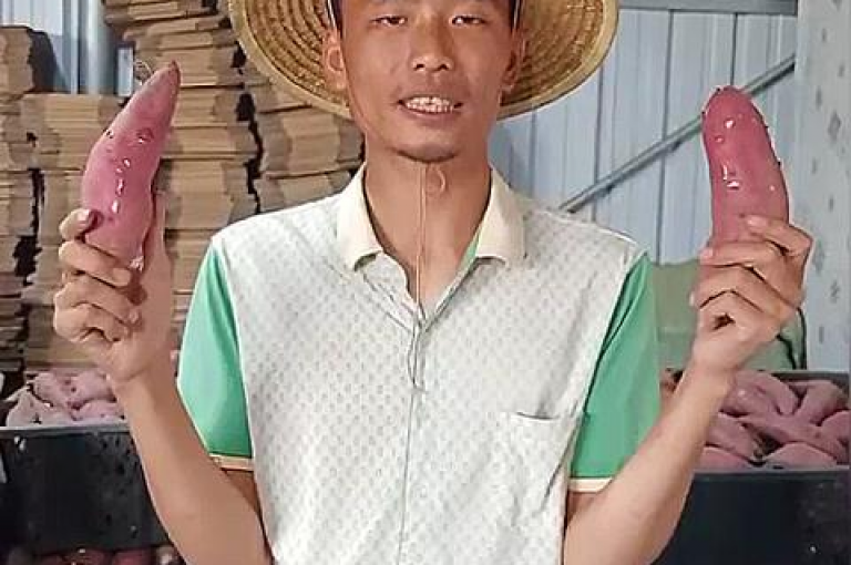 拼多多全自动下单软件，引领智能购物新时代。