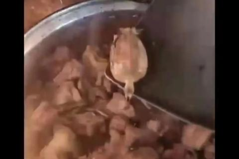 探索网络深处，发现抖音自助下单的奥秘，尽享全网最低价的超值体验。