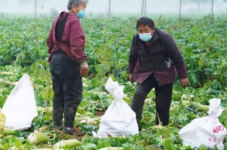 要获取微信拼多多助力群的二维码，您可以在群聊界面点击右上角的群设置图标，然后选择群二维码选项来生成并分享该二维码。