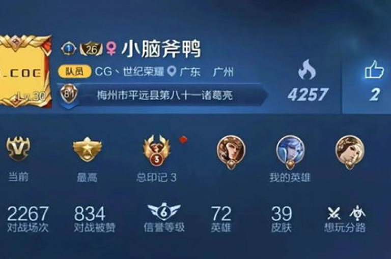 探索王者荣耀卡盟网，发现经济实惠的点赞服务，以及提升QQ空间人气的便捷途径。