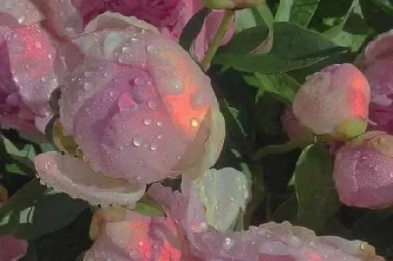 1元涨100赞快手网站,qq空间动态说说点赞免费 - 24小时快手下单平台便宜 - 快手情侣关系刷分