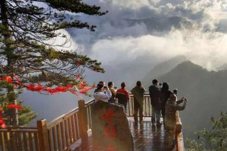 瞬间获得50个QQ空间点赞，快速提升你的社交影响力。