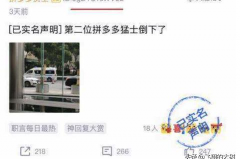 2025拼多多商家交流论坛{pdd营销策略分享平台}。