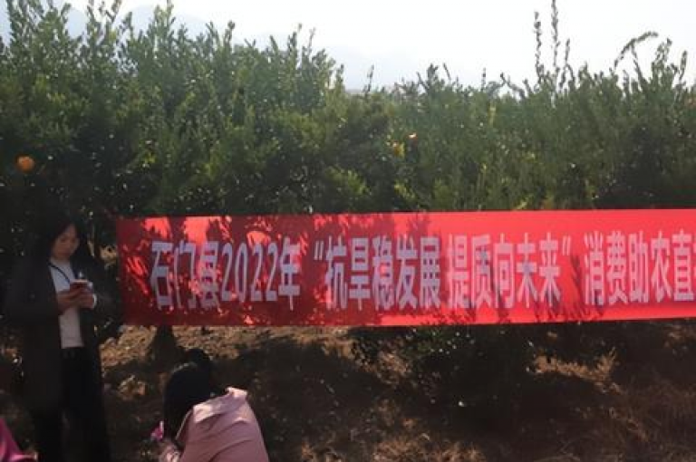抖音24小时自助服务，随时满足你的需求，让互动更加便捷。