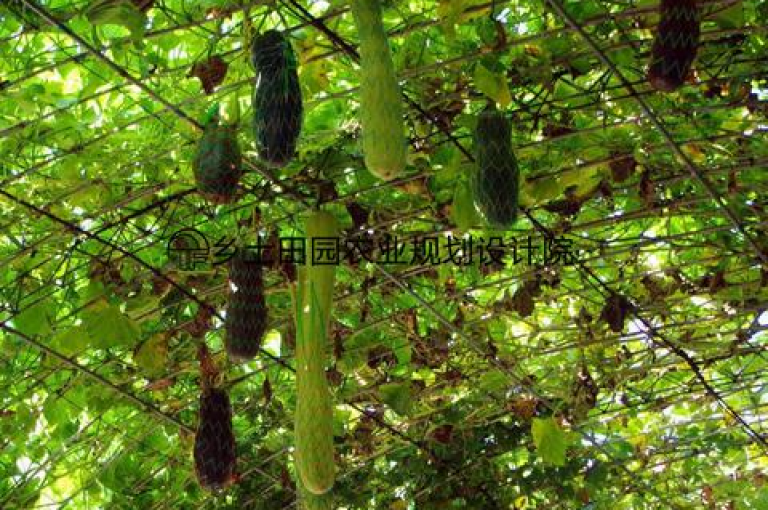 快手评论点赞秒刷0.01元起，助力作品热门 - 快手业务全天快速响应