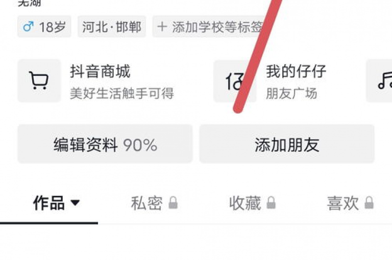 抖音点赞的奥秘何在？揭秘点赞技巧，让你轻松获赞无数！